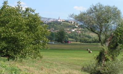 Buzet